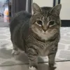 matteeuk