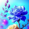 dy8qhq3ckrfy