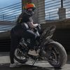 Motokendall