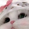 lylisoftiee