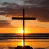 my.savior30