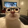 user6e2rz7o6ar