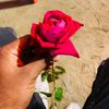 mirazhossain242
