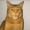 kucing_andthegenk