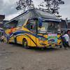 anak bus mania