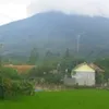 ichamily91