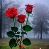 user4351860124051