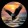 shahidmumtaz22
