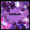 habeebaboutiqueauchi01