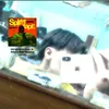 chill31070