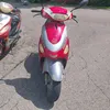 kaczka269