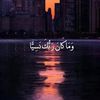 elhammohamed8362