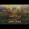 aras8474