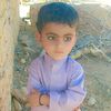 meharmarri710