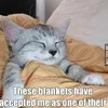 memefhjii