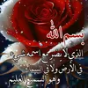 user9066131062690