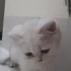 hshshsvsvs05