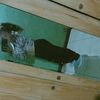 susydelcid0