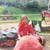 raisa.dewi13