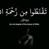 medoo7899