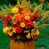 roseblanche1221