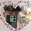 dany_tg0