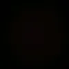 yanzznt_xml