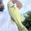 fat_head_78