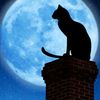 stracat10