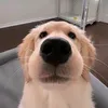uwbdgshqpwisuehebhhahw