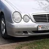 nikolai8600