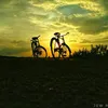 emamhossan335