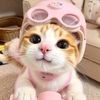 khairin_aja00