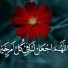 user8186372290880