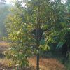 tukang.kuli.89