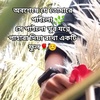 babui_pakhi_3