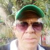 gerado12342