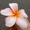 ifaifa298