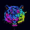 ozgur_qq