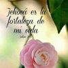 dios.es.bueno6579