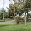xaviilbdo