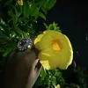 priyanath679