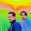 saeedafridi472