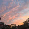 sofikgirl10