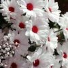 abdoulayemaiga71