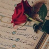 quran_alkerim05