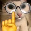 gatointeligente8