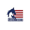 American Saddlebred