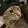 punyaoranginii2