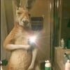 alexander___126